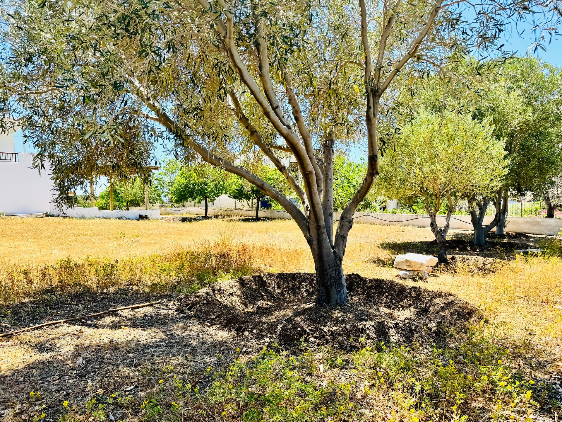 Natural surroundings of Limnes Seaside, Eastern Naxos